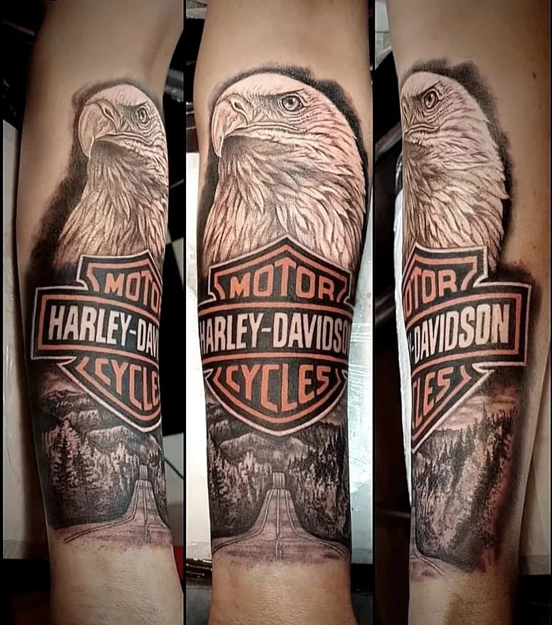 Trabajo de Airon Broncano